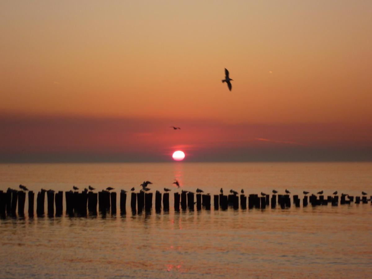 Vakantiehuis Domburg Do08 Met Sauna! Kültér fotó